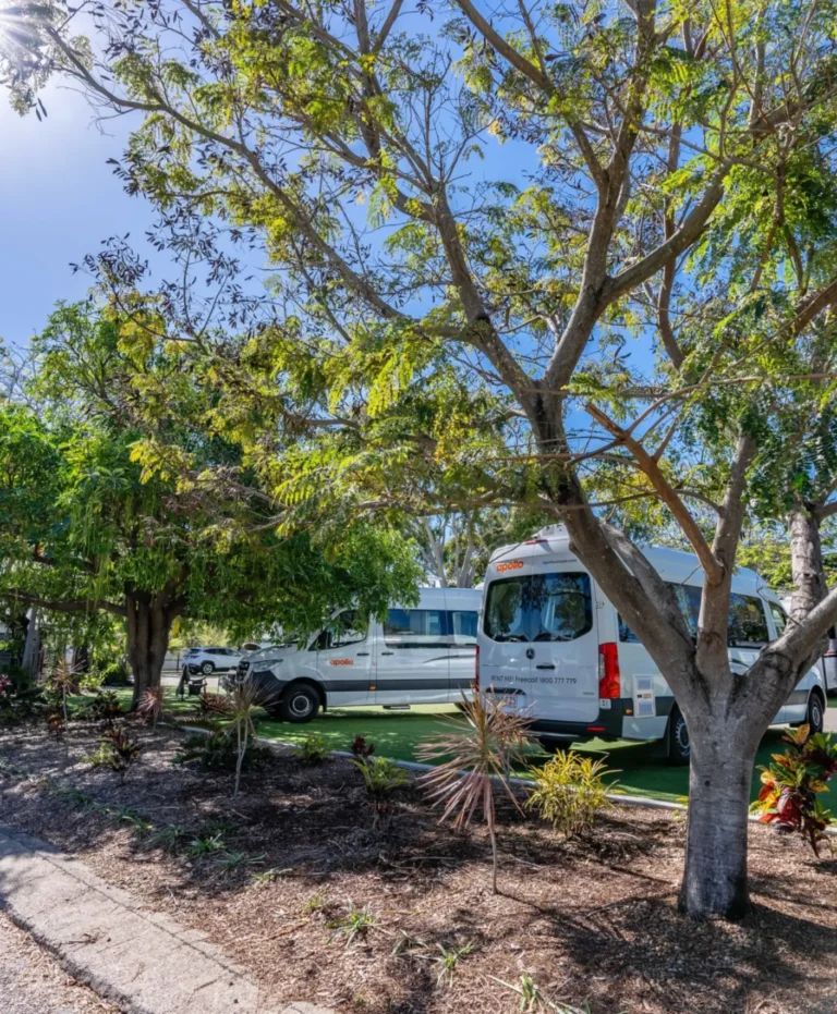 THP_Rowes_Bay_Sites-4