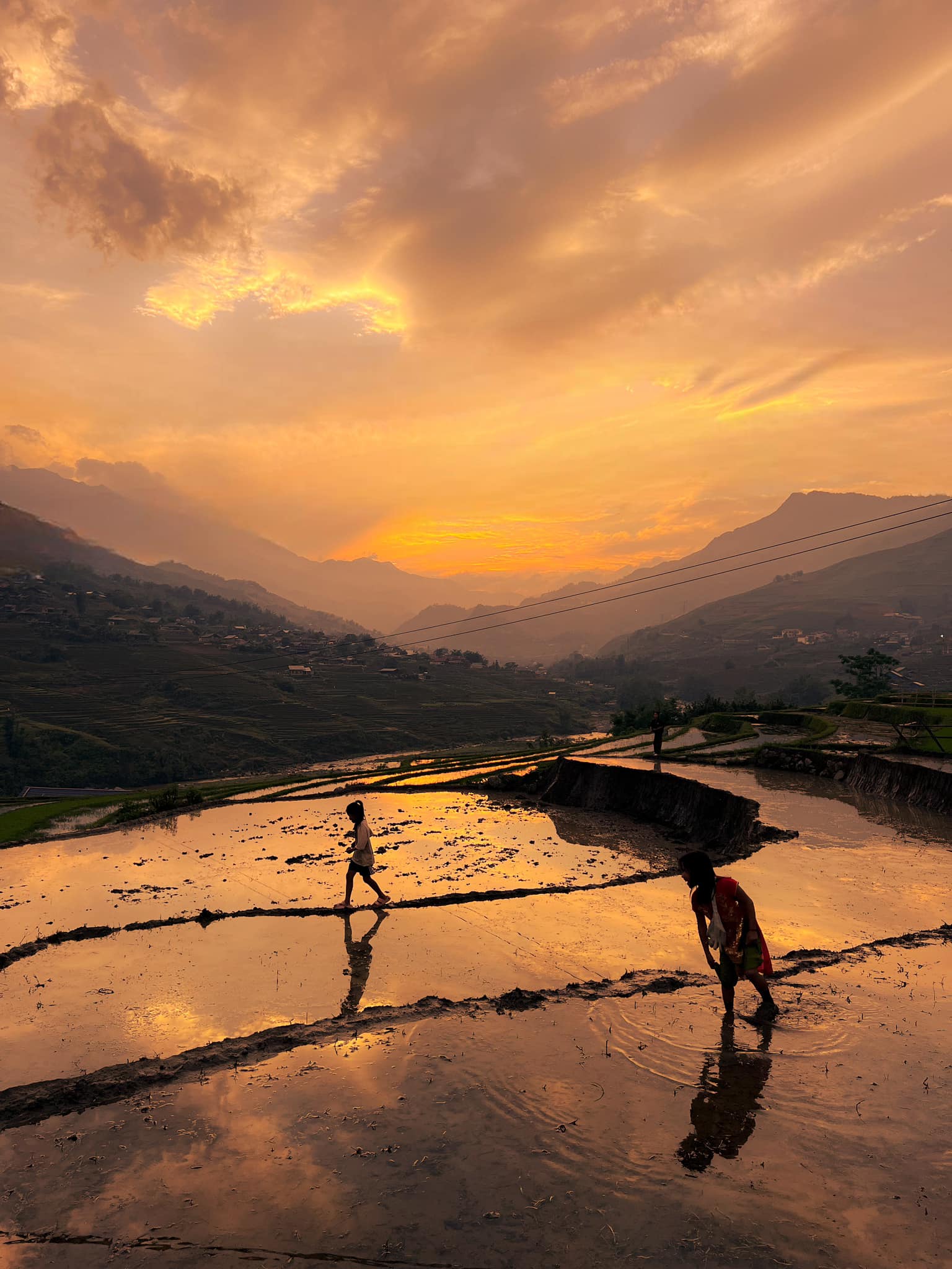 481056869_122243703062214555_8760305874595355464_n